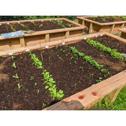 DIY Raised Garden Bed Plans [Digital Download]